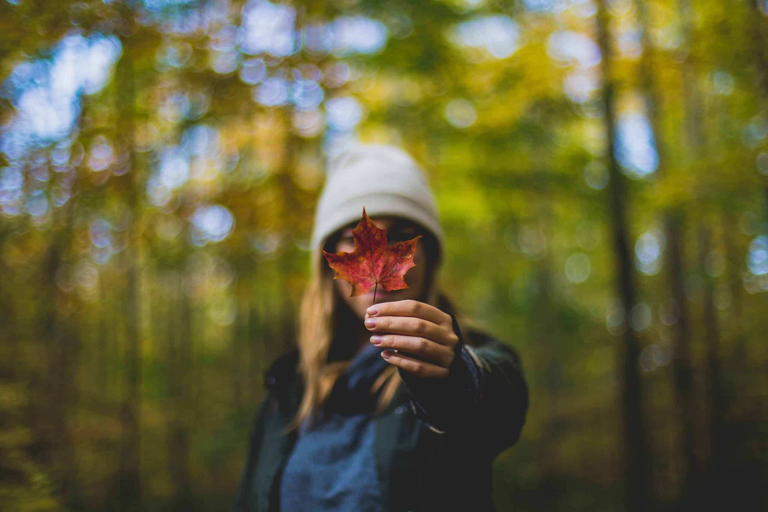 discovering-self-psychology-society-economics-career.jpg